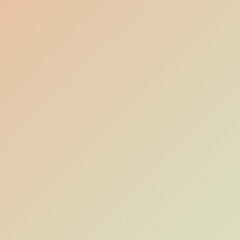 Peach nude pastel background 