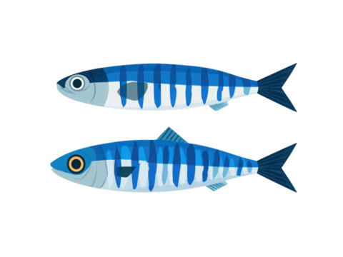 Two blue fish with white stripes