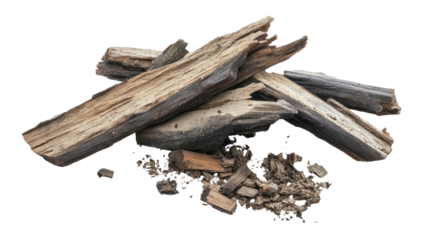 Rotten old wood pieces broken aged timber fragments decayed bark rough texture natural damaged material debris isolated on white background