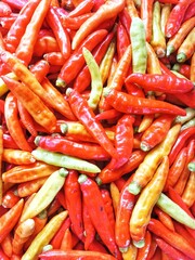 red hot chili peppers