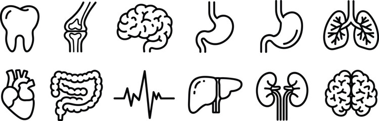 Human organ icon set, black and white anatomy symbols, medical vector illustration, internal body parts clipart, healthcare infographic design