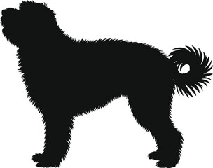 Dog silhouette standing, shaggy fur outline, curled tail, black vector illustration, pet icon, animal profile, canine figure, white background