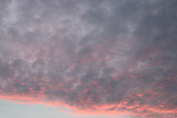 Fototapeta premium clouds in the sky