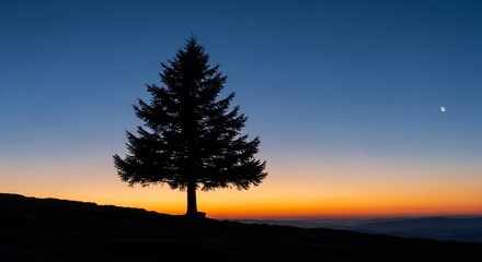 Silhouette of a tree against a vibrant sunset sky, with a bright celestial object visible in the distance.
