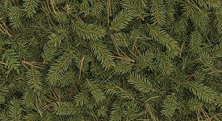 A dense, textured background of overlapping green pine needles and fir branches.