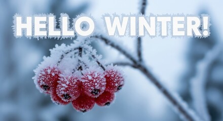 Hello Winter A Season Of Snow Frost and Cold Weather