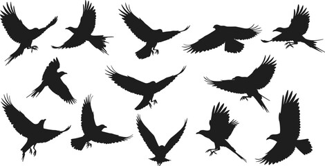 “Collection of dynamic flying bird silhouettes, showcasing various wing positions and graceful flight poses, ideal for wildlife themes, nature graphics, and vector design projects.”