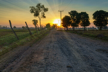 Country road natural morning landscape.
