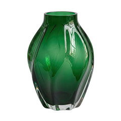 Elegant Green Glass Vase with Intricate Reflective Details on a Transparent Background