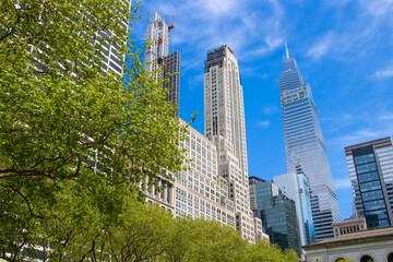 Midtown Manhattan Skyscrapers and Lush Green Trees on a Sunny Day, New York City