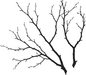 Bare tree branches silhouette, black twigs on white background, minimal nature art, winter season design, abstract botanical pattern, stark contrast