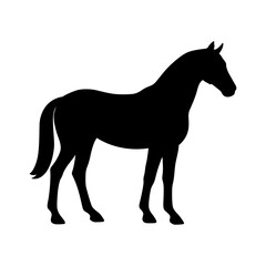 Horse Silhouette Illustration – Elegant Standing Horse Icon for Farm Logos, Equestrian Designs, Ranch Branding, and Animal Graphic Projects