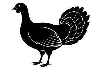 Turkey cock bird silhouette vector, wild turkey black symbol

