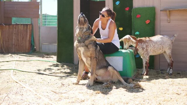 Very happy woman petting a happy dog falling backwards and laughing