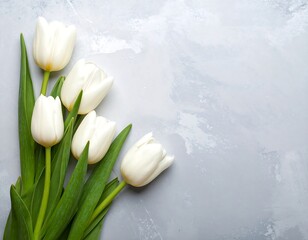 Overhead shot of white tulips on a textured, gray surface