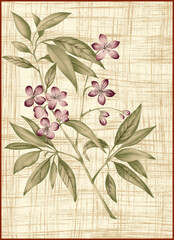 grunge floral background with flowers