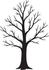 Deciduous Tree Silhouette Black and White Artistic Representation