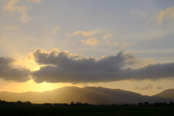 Obraz premium Golden Misty Sunbeams Over Lush Paddy