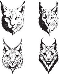 set of black cats