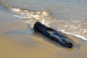 Driftwood on Sandy Beach with Waves