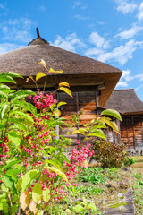 茅葺屋根とマユミ