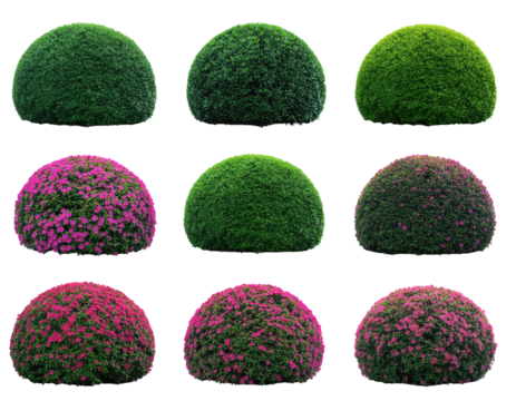 Assorted Decorative Bushes with Vibrant Green and Pink Foliage Arranged in a Symmetrical Pattern