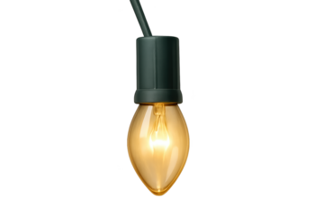 Warm glowing hanging string light bulb with green socket