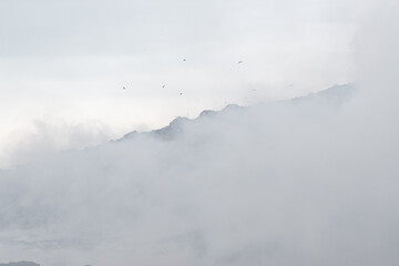 Fire at a household waste dump. Environmental pollution. Levoberezhny garbage dump. Poisonous substances of dioxins enter the air.  July 2021 Novosibirsk russia