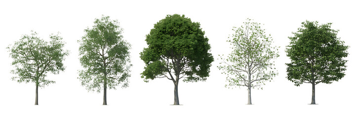 Obraz premium Collection of five deciduous trees with green foliage isolated on transparent background