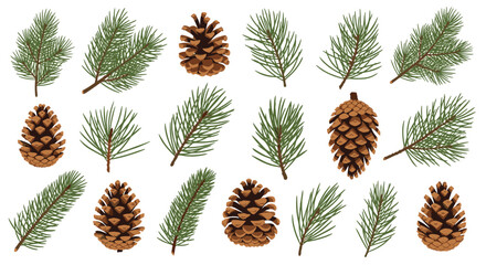 Collection of pine cones and green pine branches on a white background.