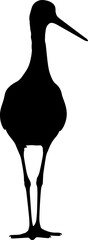 Silhouette of a wading bird standing on a plain white background