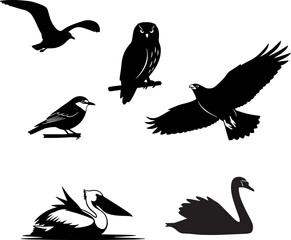 Diverse bird silhouettes: owl, eagle, seagull, robin, pelican, swan