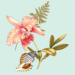 lily flowers vector illustration