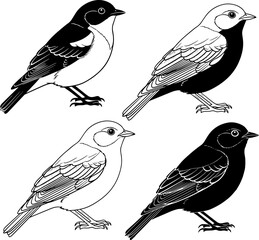 Four stylized birds, two black and white, two silhouette
