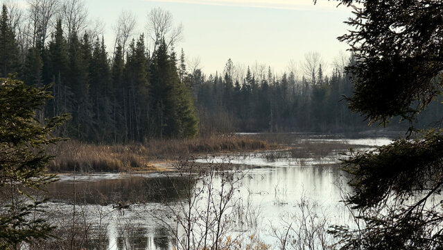A view of a lake in the forest in the fall - Powered by Adobe