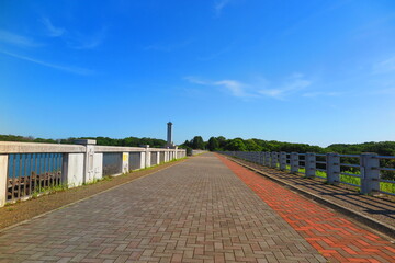 快晴のあおぞらの狭山湖の風景11