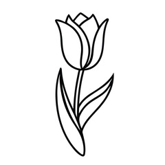 Elegant Blooming Tulip Flower Artistic Line Art Botanical Drawing