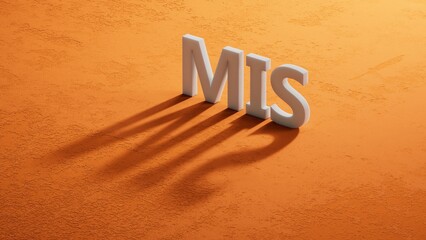 mis. wooden table with shadow of 3d charcaters. text on wood blocks.close up of shadow of 3d charcaters,Business Concept.3D rendering. © bo