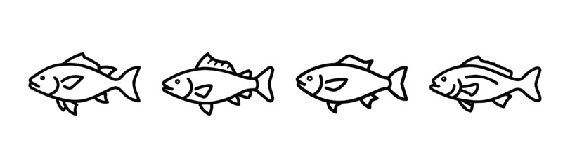 Vector illustration of a red drum fish for seafood and fishing