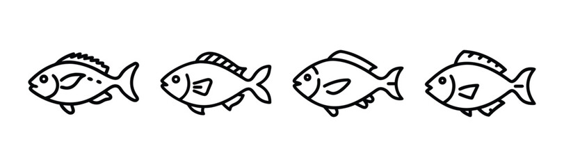 Scup porgy fish vector illustration for marine life themes