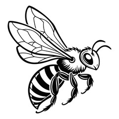 vector illustration of a bee