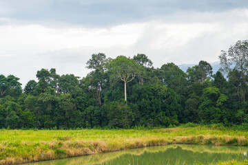Obraz premium Relaxing peaceful resorvoir, different green shades of the trees on the hill, and bright afternoon sky