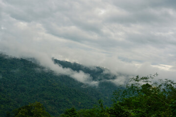 View of the mist after a rain in Khao Yai, Nakhon Ratchasima, Thailand