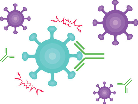 Antibodies neutralize viruses transparent background