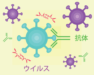 Antibodies neutralize viruses japanese