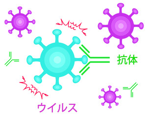 Antibodies neutralize viruses japanese transparent background