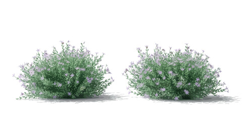 Obraz premium Two small green bushes with delicate leaves and a hint of purple flowers isolated on white