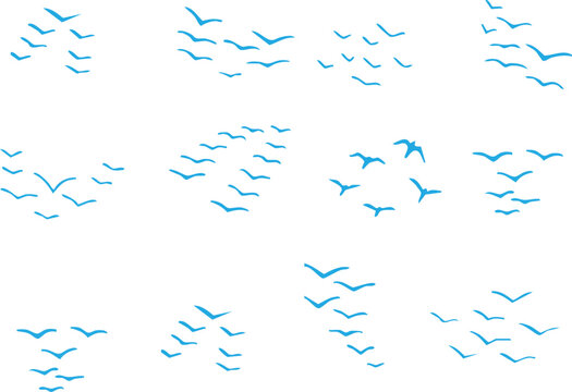 Group of blue birds flying in the sky formation