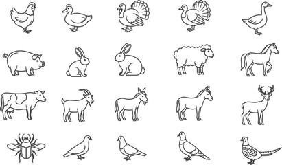 Collection of hand drawn farm animals and insects in sketchy line art style