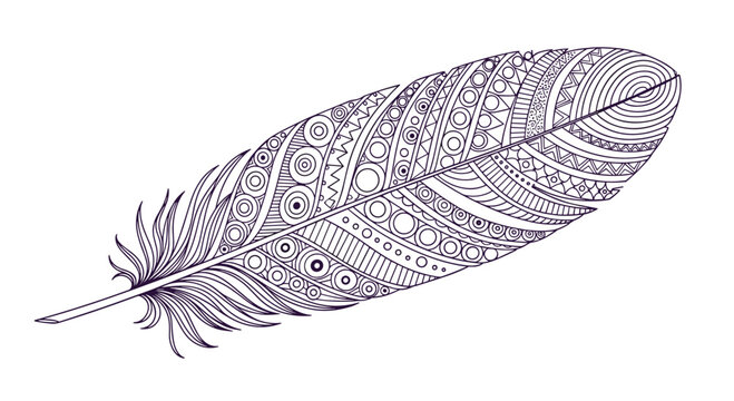 Intricate feather illustration featuring detailed zentangle patterns and delicate linework, creating a bohemian and artistic design element for creative projects.
